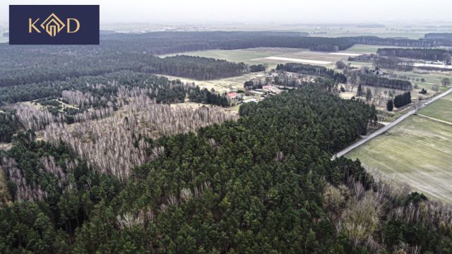 Działka inwestycyjna Dąbrowa Nowa. Zdjęcie 12