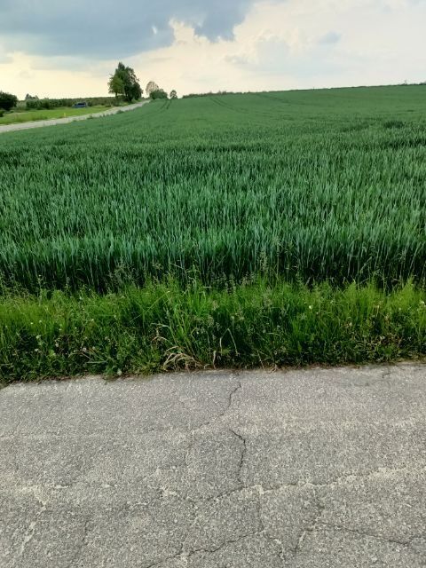 Działka budowlana Piotrowice. Zdjęcie 2