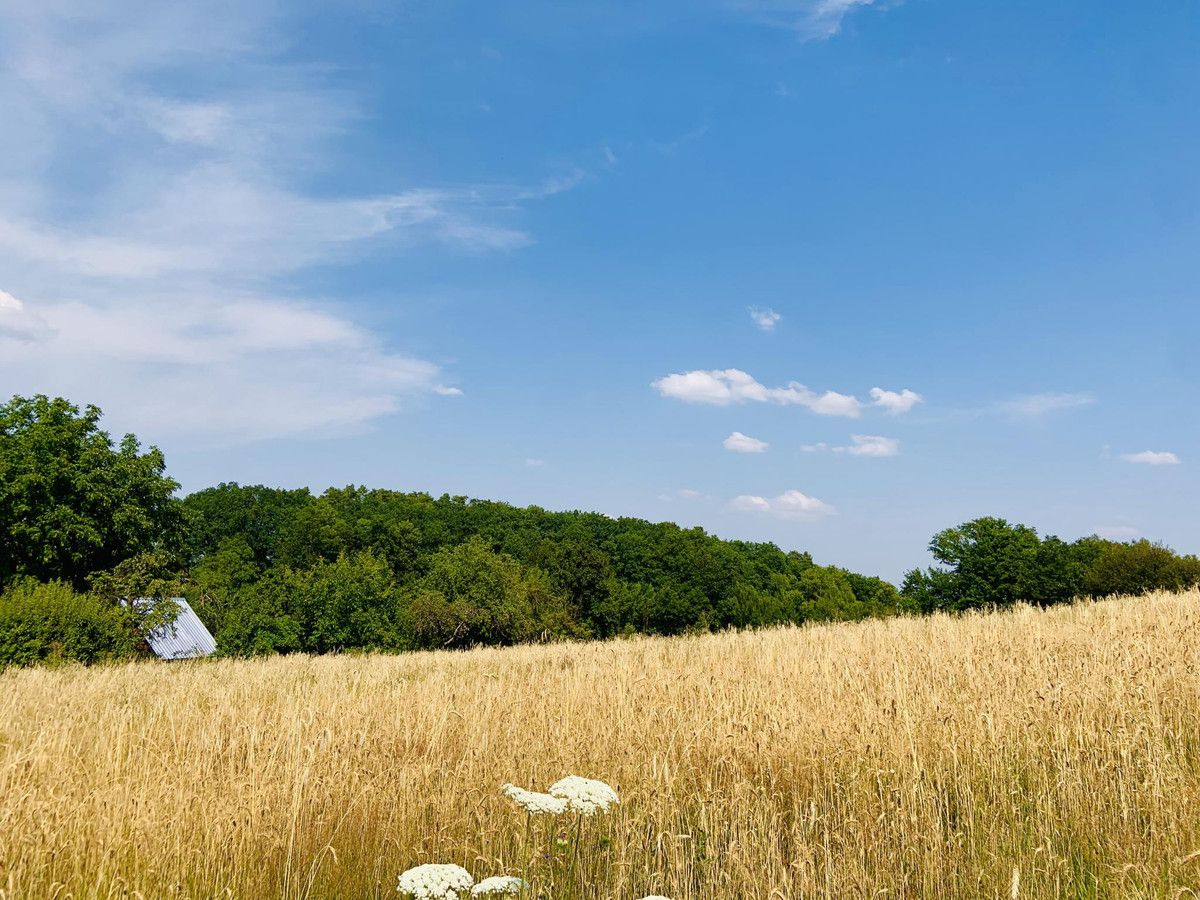 Działka budowlana Sieniawa. Zdjęcie 3
