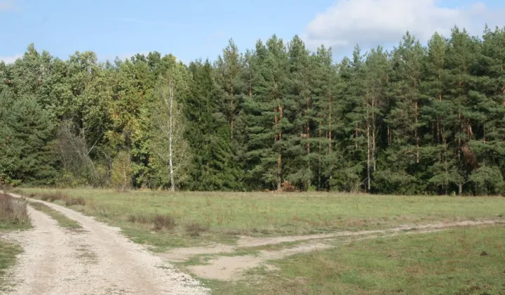 Działka budowlana Zabielne