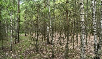 Działka leśna Pstrągi-Gniewoty