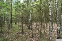 Działka leśna Pstrągi-Gniewoty