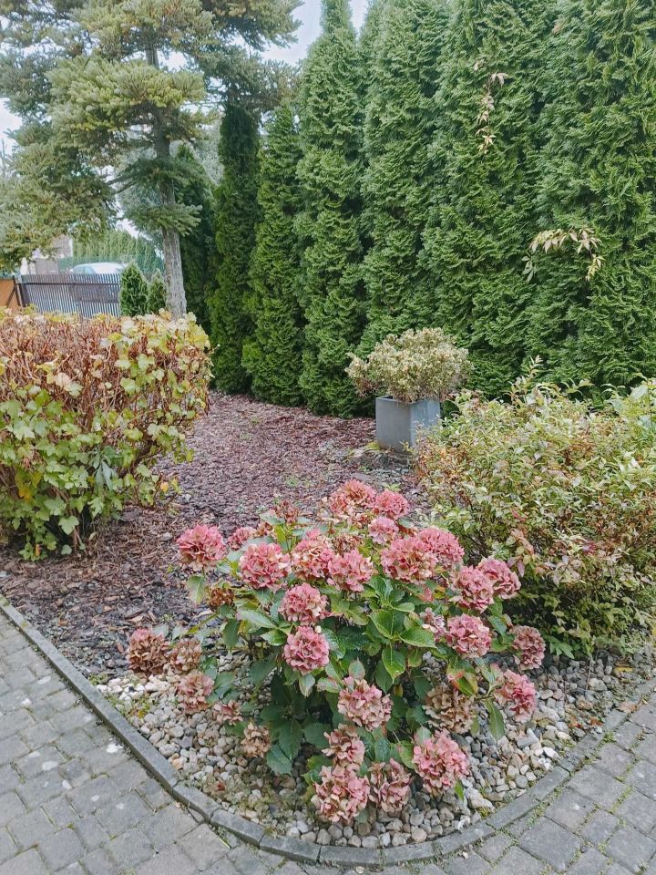 bliźniak Szamotuły, ul. Łucznicza. Zdjęcie 3