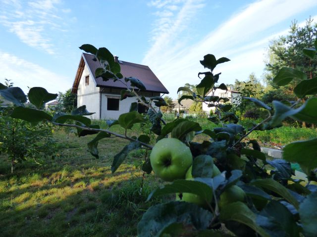 dom wolnostojący, 3 pokoje Górki Grubaki. Zdjęcie 1