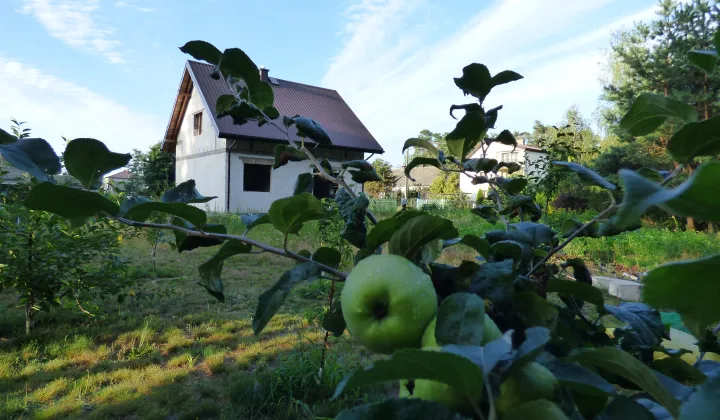 dom wolnostojący, 3 pokoje Górki Grubaki