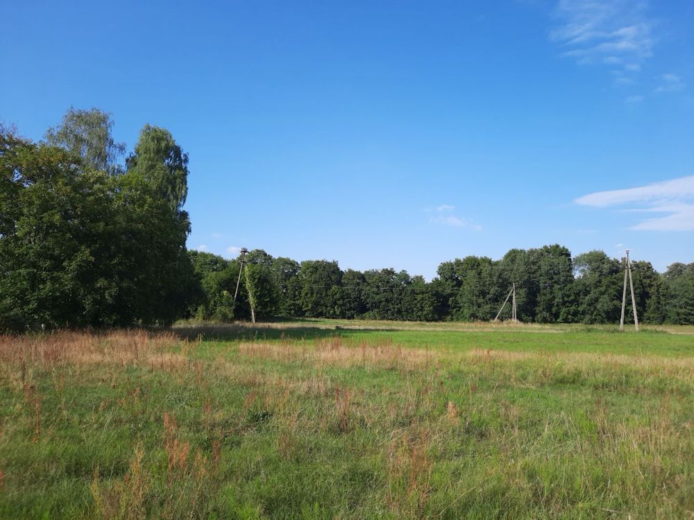 Działka budowlana Bruliny. Zdjęcie 5