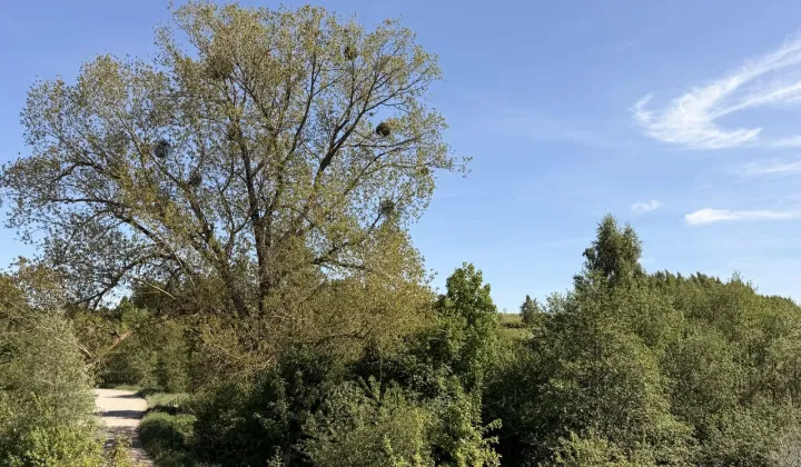 Działka budowlana Osłonino, ul. Nad Gizdepką