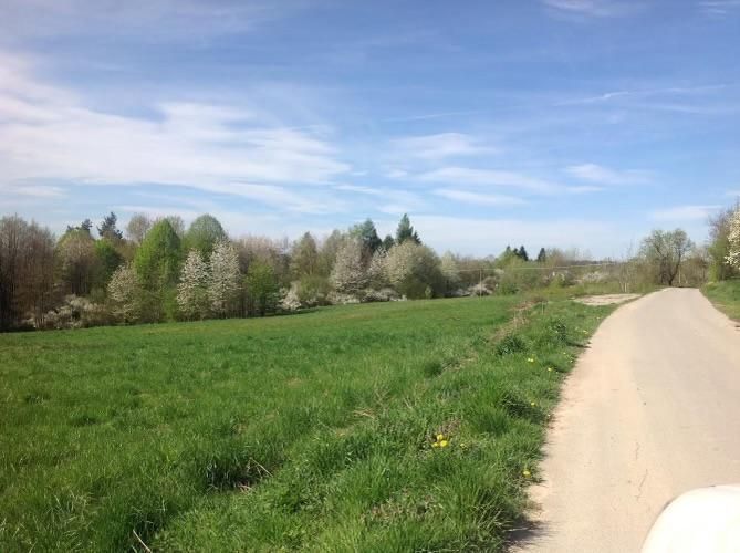 Działka rolno-budowlana Skopów. Zdjęcie 12