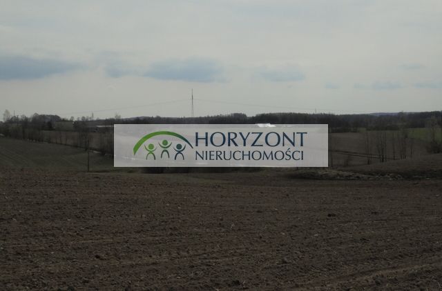 Działka Grabowska Huta. Zdjęcie 4