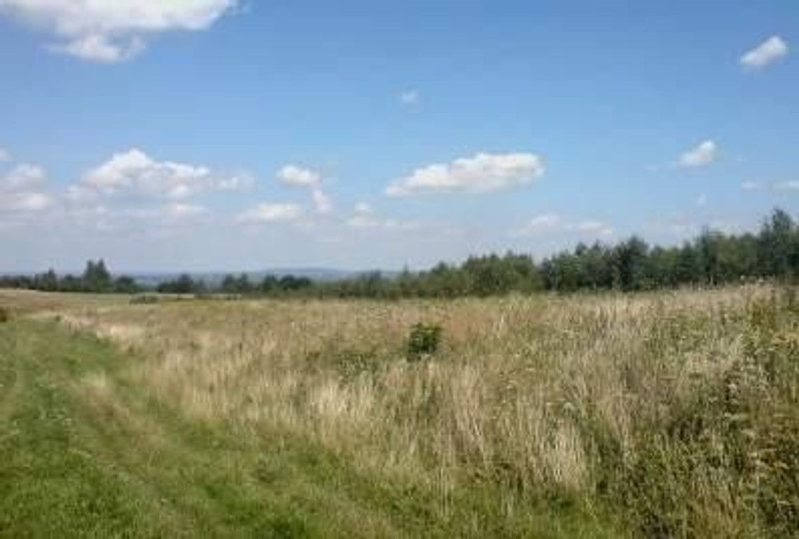 Działka rolno-budowlana Zgierz, ul. Grotnicka. Zdjęcie 4