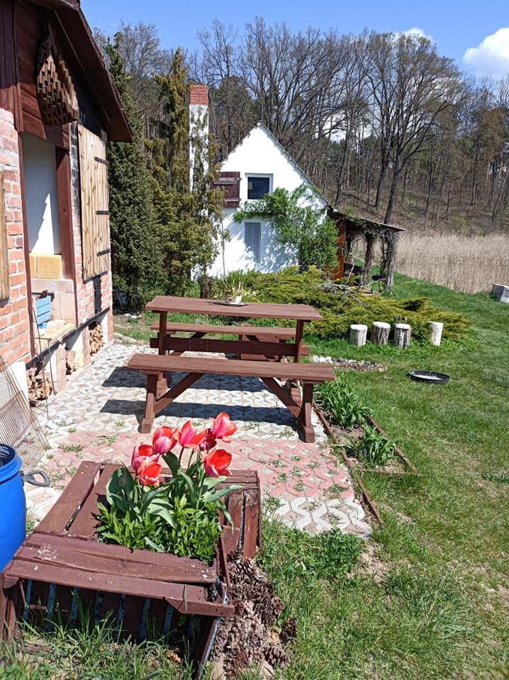 Działka rolna Bledzew Tymiana, ul. Tymiany. Zdjęcie 27