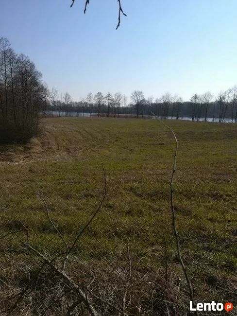 Działka rolna Kaszewo. Zdjęcie 4