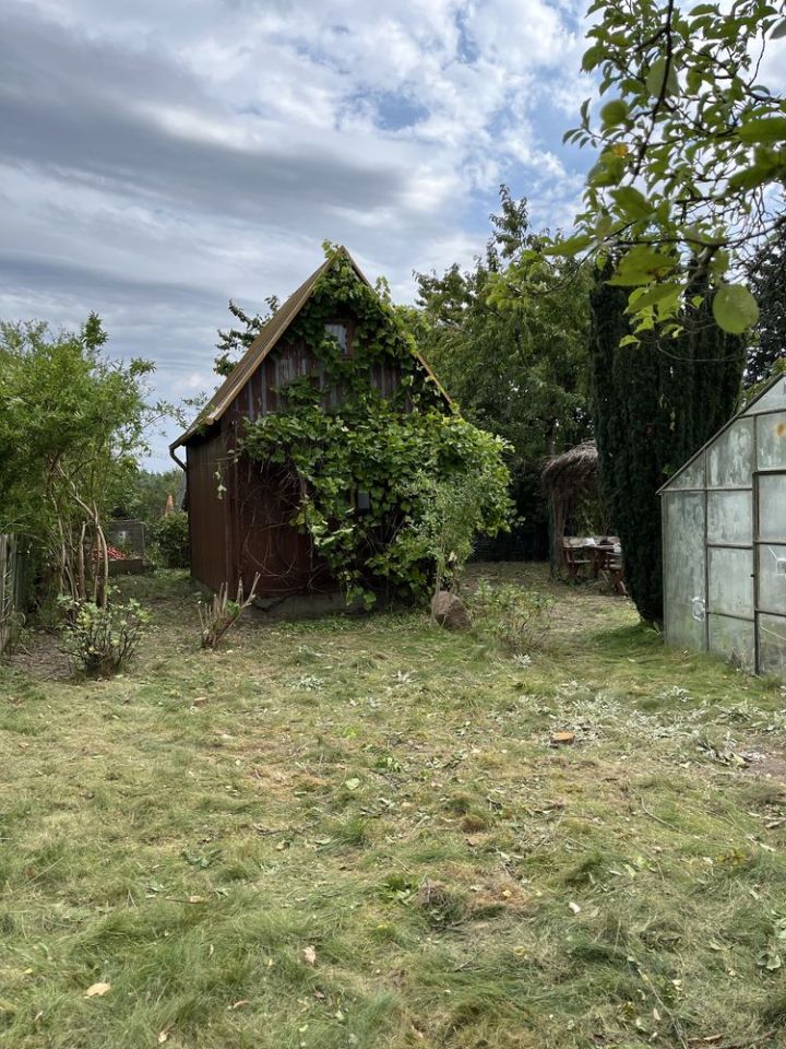 Działka rod Gdańsk Strzyża. Zdjęcie 8