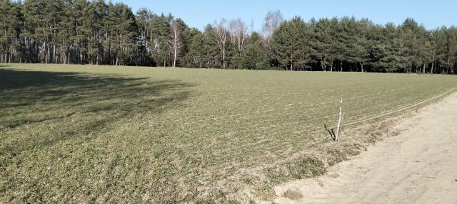 Działka budowlana Borek. Zdjęcie 2