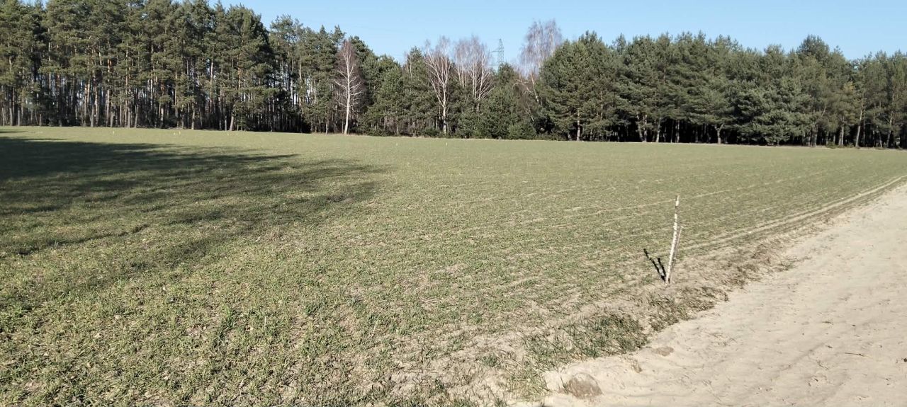 Działka budowlana Borek. Zdjęcie 2