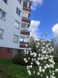 Mieszkanie 5-pokojowe Warszawa Ursynów, ul. Zaolziańska. Zdjęcie 4