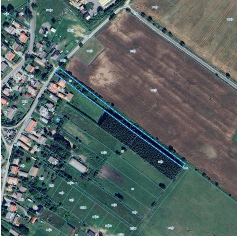 Działka budowlana Romany. Zdjęcie 1