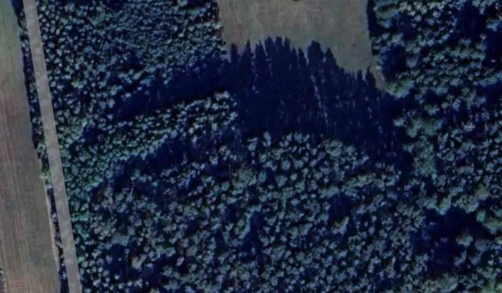 Działka rolna Żdżenice