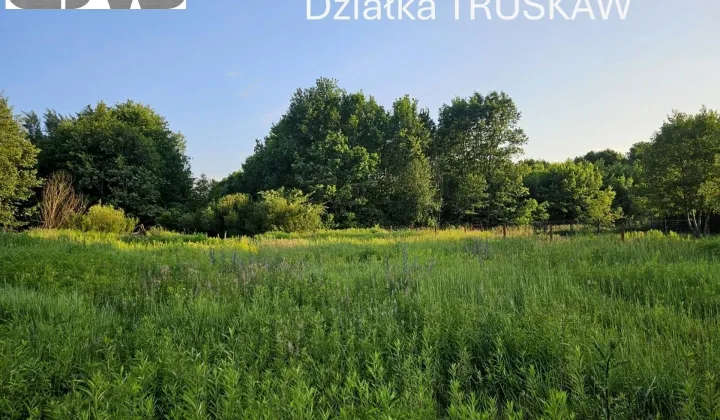 Działka budowlana Truskaw