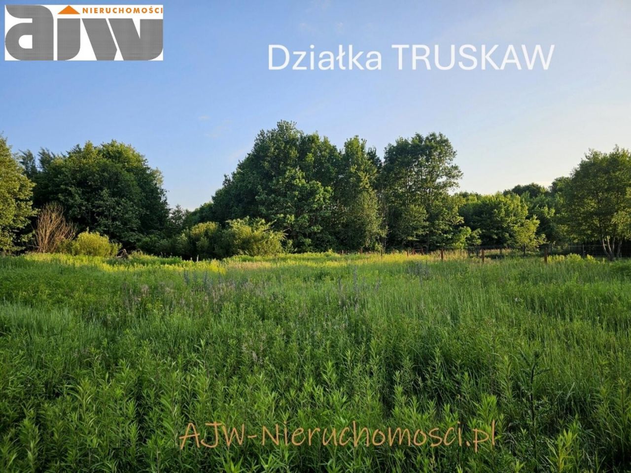 Działka budowlana Truskaw. Zdjęcie 1