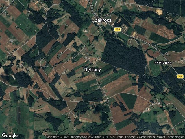 Działka budowlana Dębiany. Zdjęcie 1