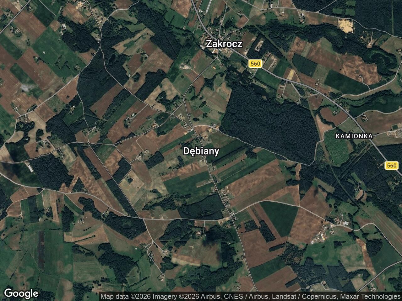 Działka budowlana Dębiany. Zdjęcie 1