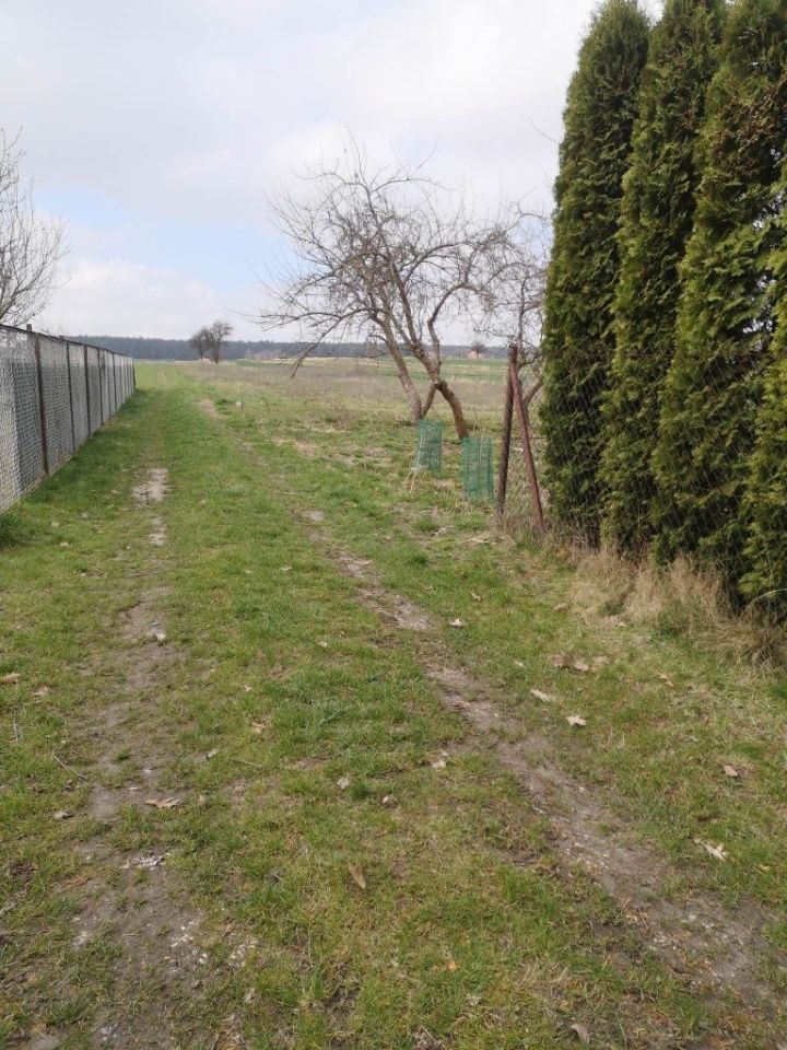 Działka rolna Mętów. Zdjęcie 4