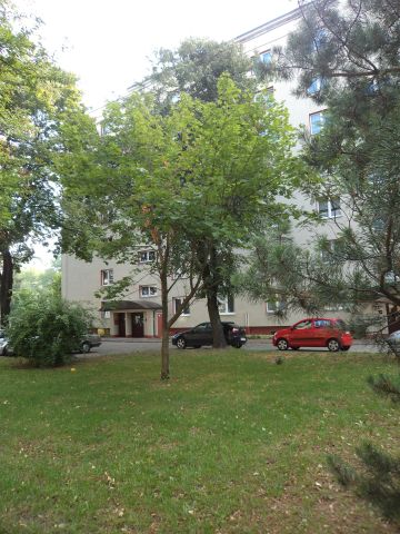 Mieszkanie 2-pokojowe Warszawa Mokotów, al. Niepodległości. Zdjęcie 11