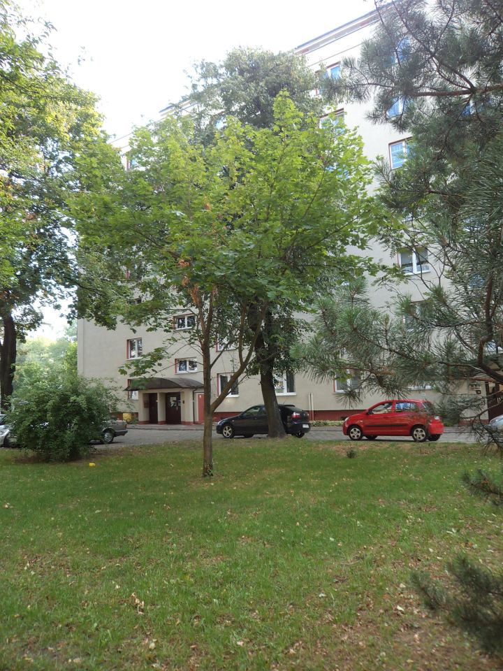 Mieszkanie 2-pokojowe Warszawa Mokotów, al. Niepodległości. Zdjęcie 11