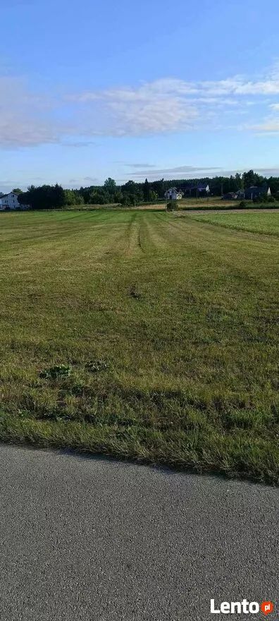 Działka rolno-budowlana Sokolniki Suche. Zdjęcie 3