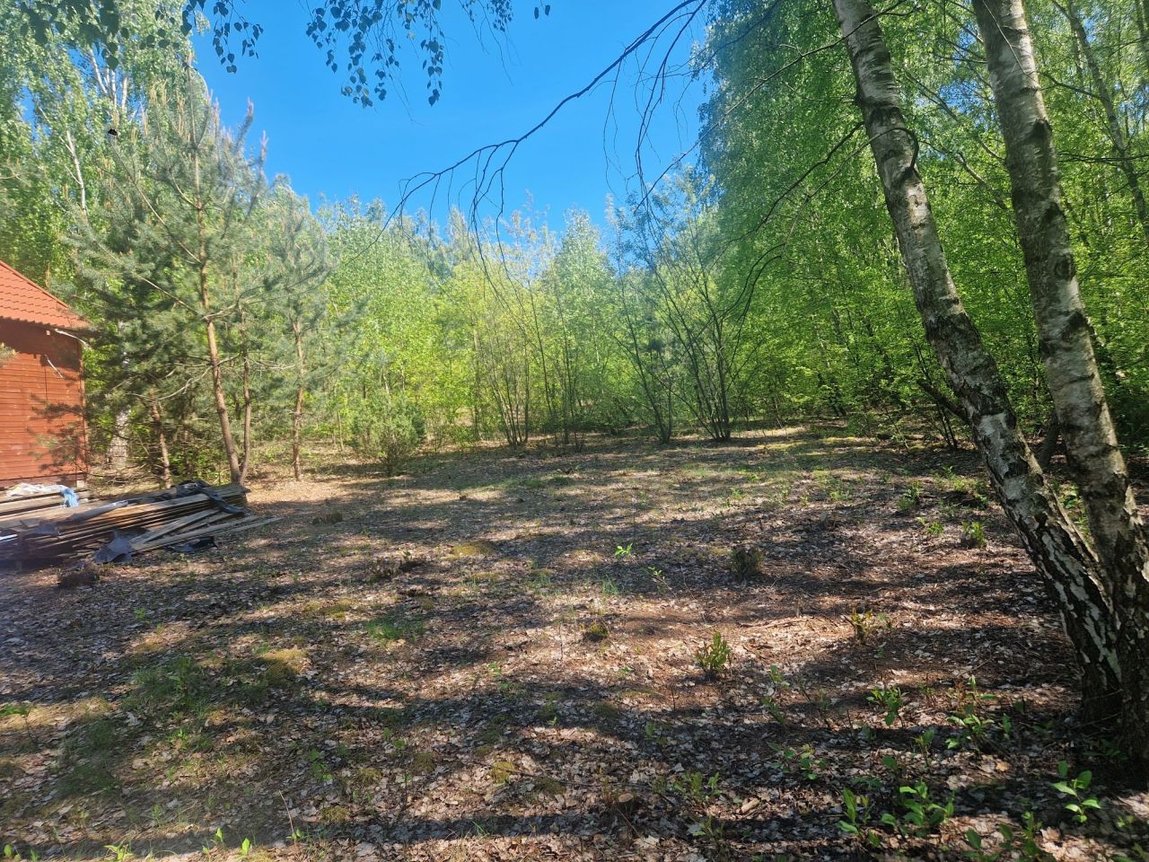 Działka leśna Klukówek. Zdjęcie 3