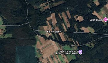 Działka leśna Nowy Lipsk