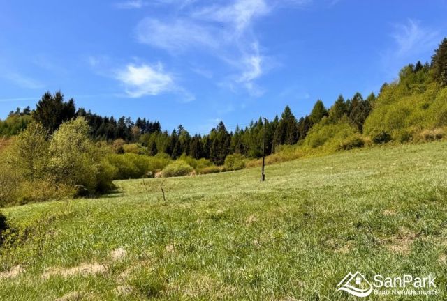 Działka rolna Hoszów. Zdjęcie 7