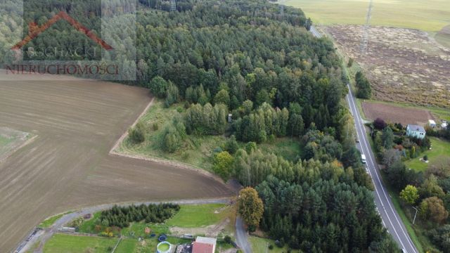 Działka budowlana Nowa Karczma. Zdjęcie 5