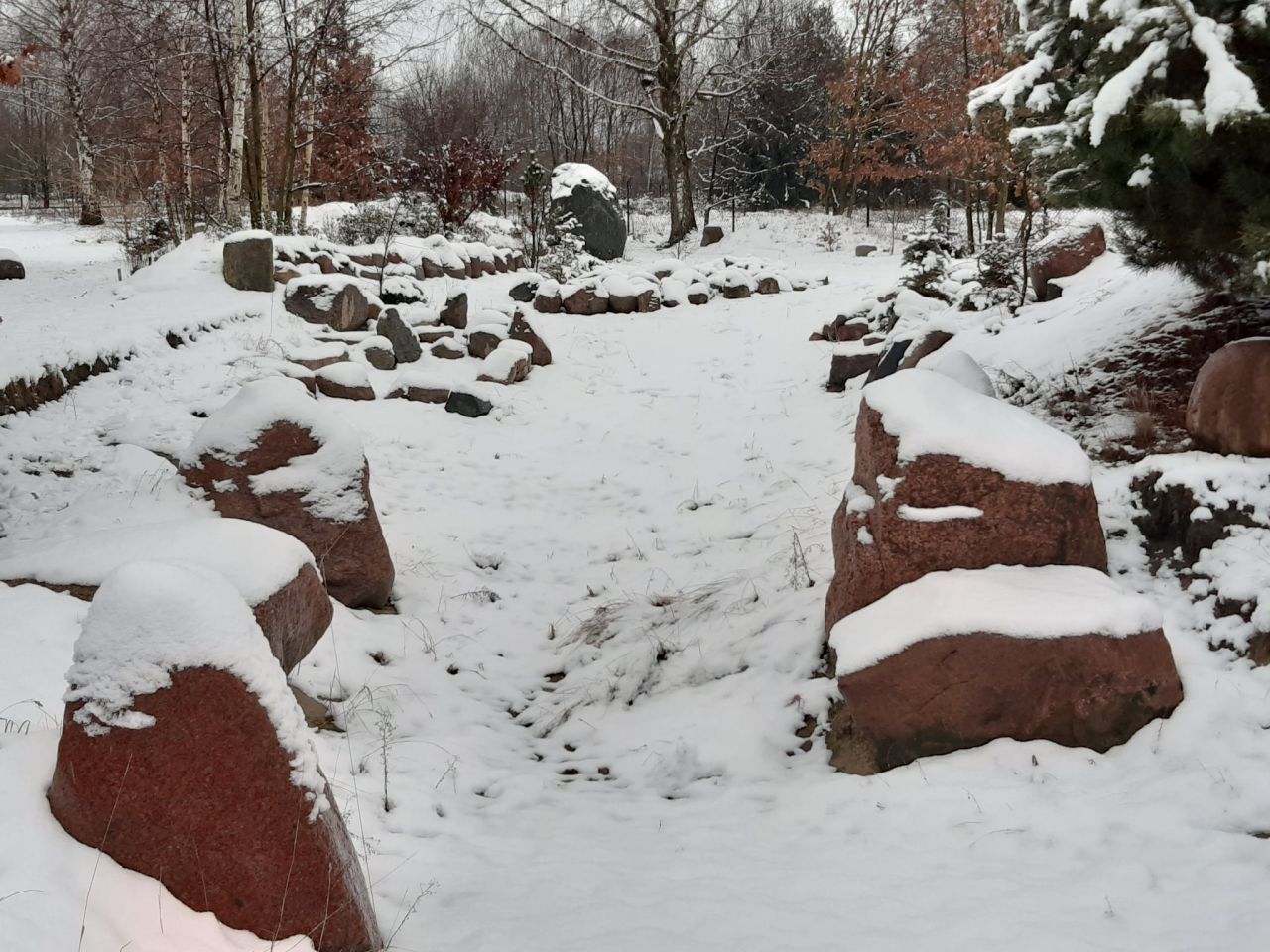 Działka budowlana Podbiel Krupińskie, Sosnowa. Zdjęcie 42