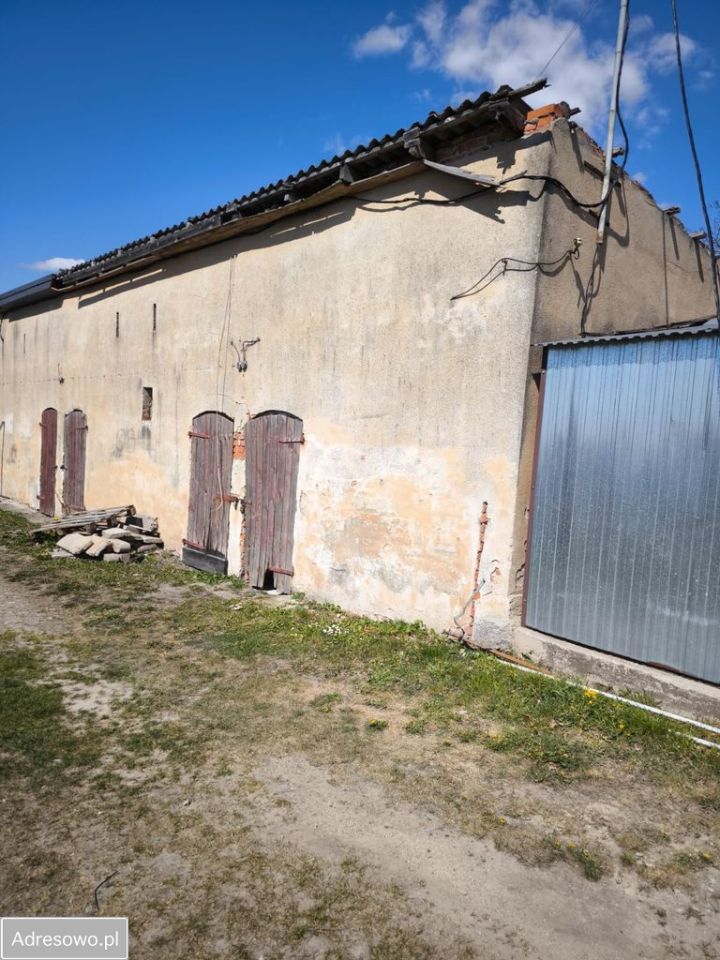 dom szeregowy, 2 pokoje Prakwice. Zdjęcie 3