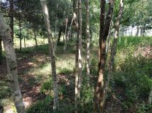 Działka rolna Turowice. Zdjęcie 2