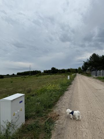 Działka budowlana Wyborów. Zdjęcie 1