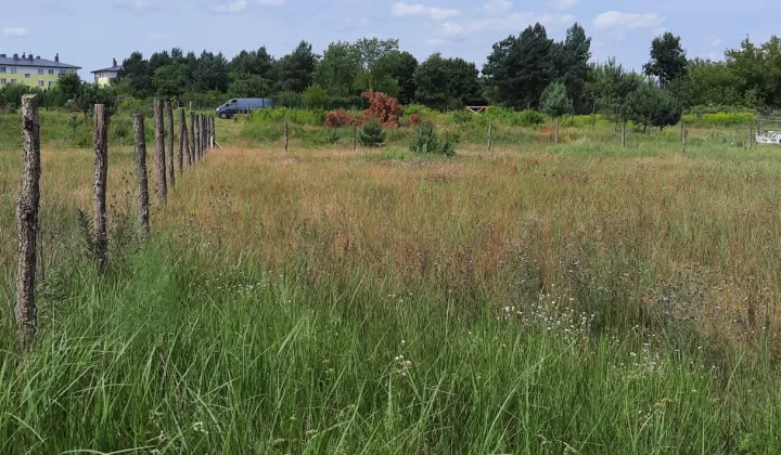Działka budowlana Cybinka, ul. Dąbrowskiego