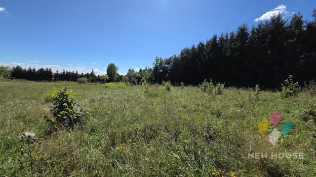 Działka rekreacyjna Zgniłocha. Zdjęcie 9