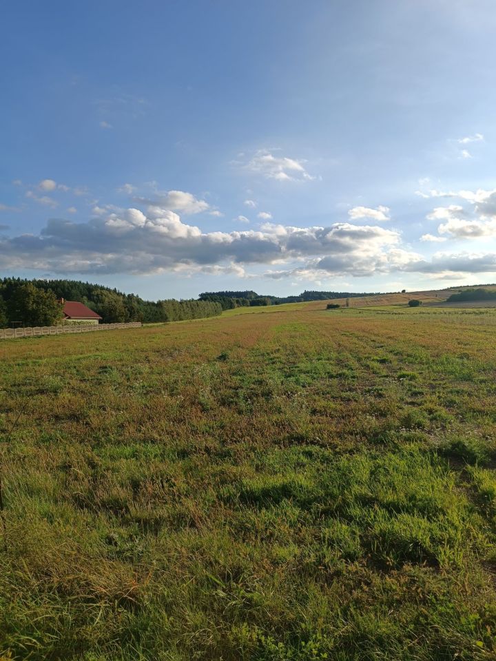 Działka rolno-budowlana Leśnica. Zdjęcie 2