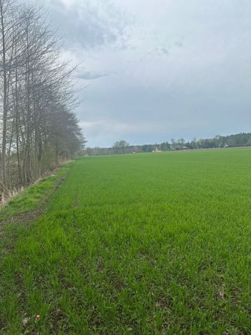 Działka budowlana Grójec Mały. Zdjęcie 1