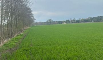 Działka budowlana Grójec Mały