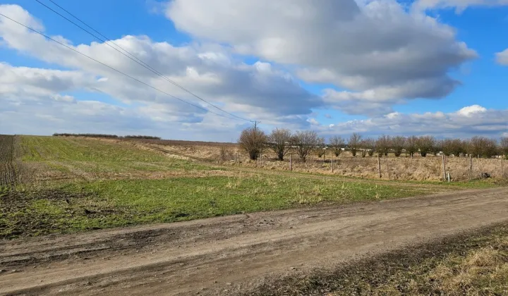 Działka budowlana Witkowo Drugie, ul. Czereśniowa