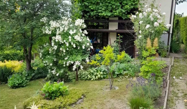 Działka rod Ostróda, ul. Wojciecha Kętrzyńskiego