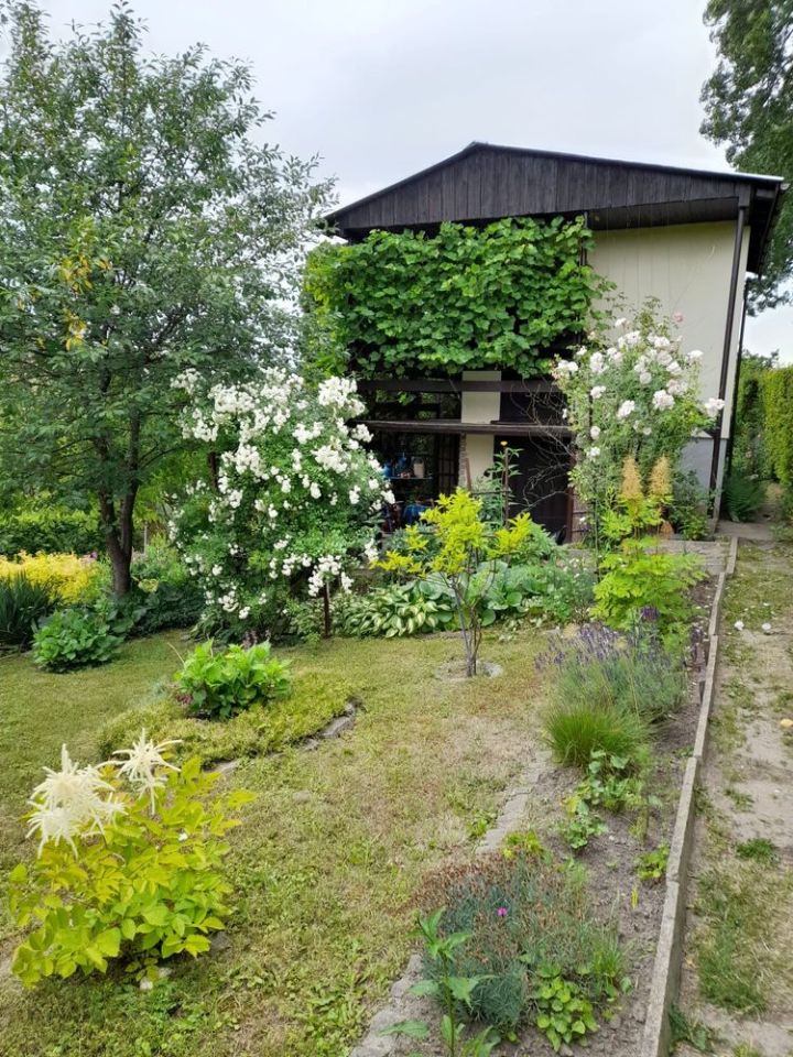 Działka rod Ostróda, ul. Wojciecha Kętrzyńskiego. Zdjęcie 1