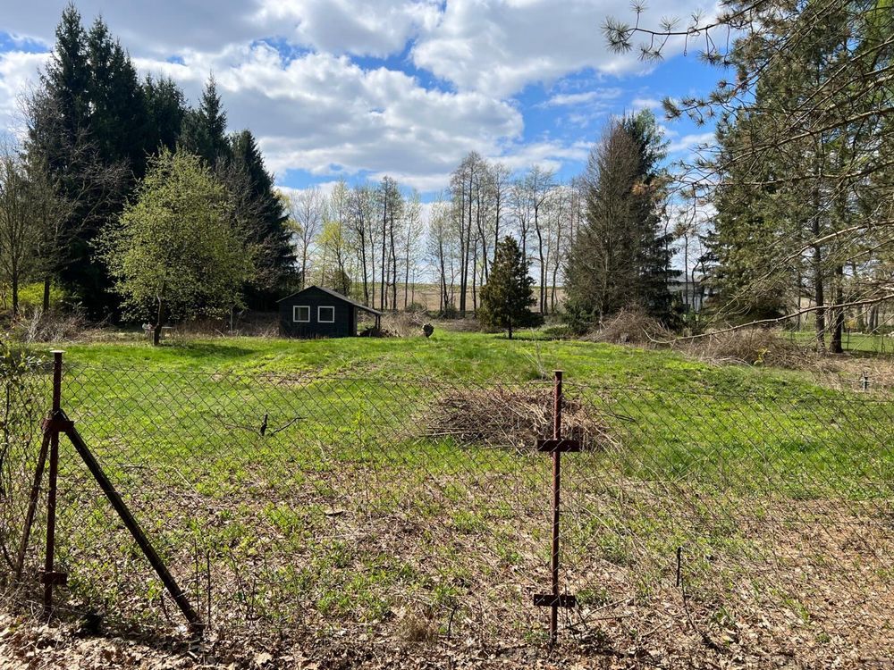 Działka siedliskowa Wojciechów. Zdjęcie 2