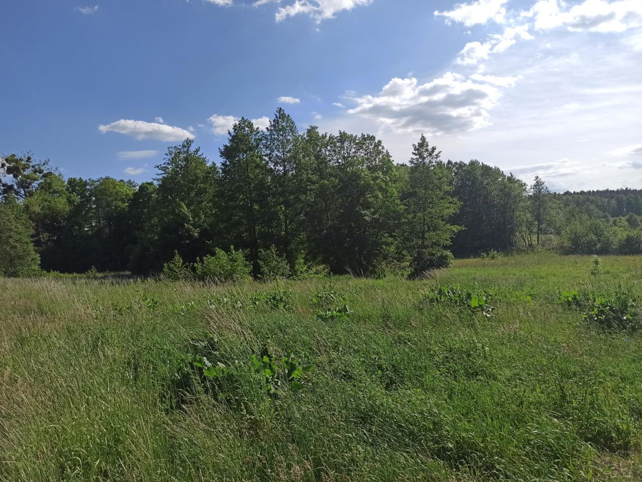 Działka rolna Piaski. Zdjęcie 9