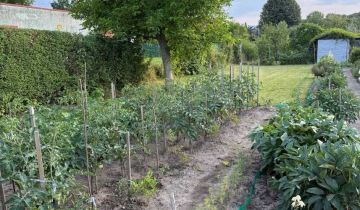 Działka rod Dzierżoniów