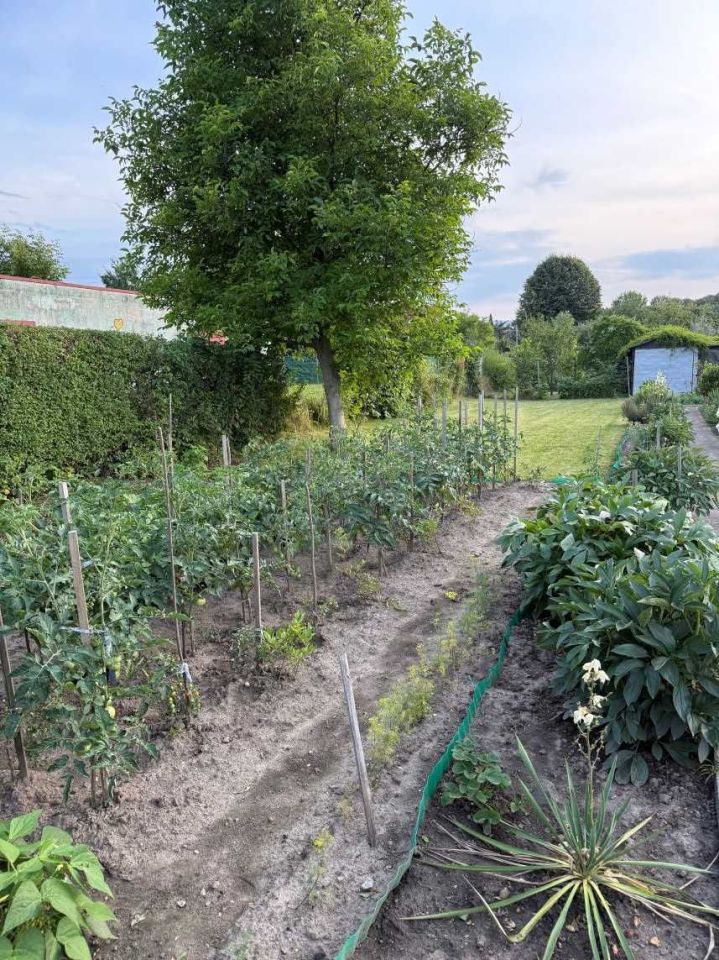 Działka rod Dzierżoniów. Zdjęcie 2